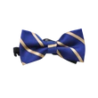 Arany csíkos csokornyakkendő