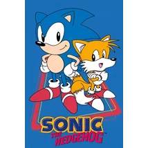 Sonic és Tails gyerek arctörlő.